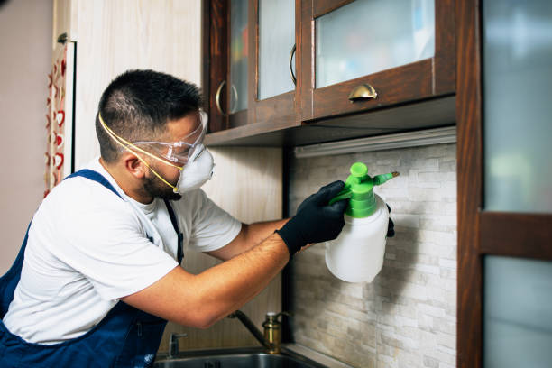 Best Commercial Pest Control Services  in Pleasant View, UT