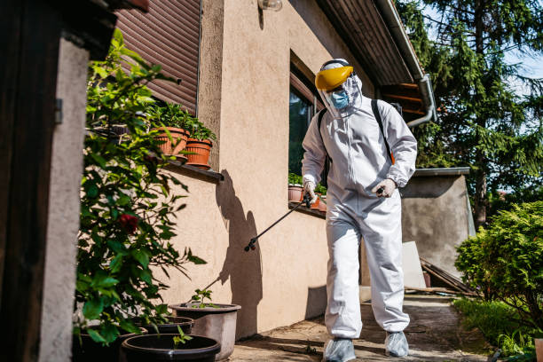 Best Wasp Removal Services  in Pleasant View, UT