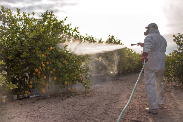 Best Residential Pest Control  in Pleasant View, UT