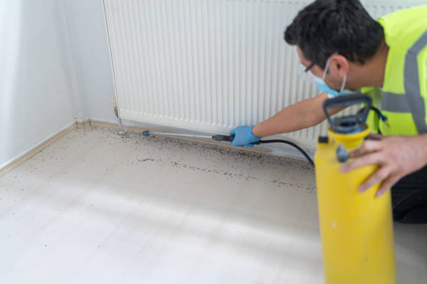 Best Ant Control Services  in Pleasant View, UT