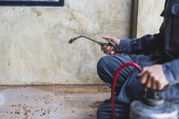 Best Best Pest Control Companies  in Pleasant View, UT