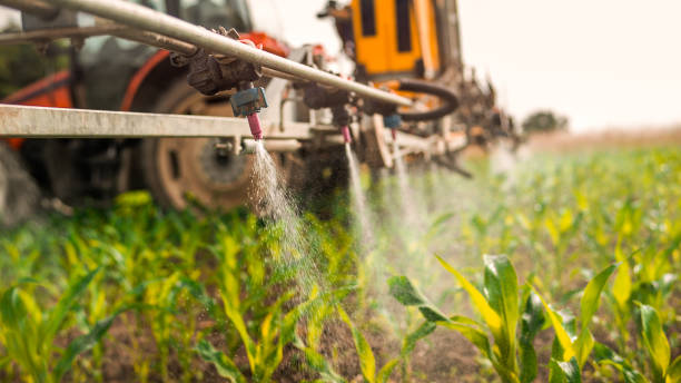 Best Pest Control for Businesses  in Pleasant View, UT
