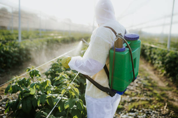 Best Pest Control for Restaurants  in Pleasant View, UT